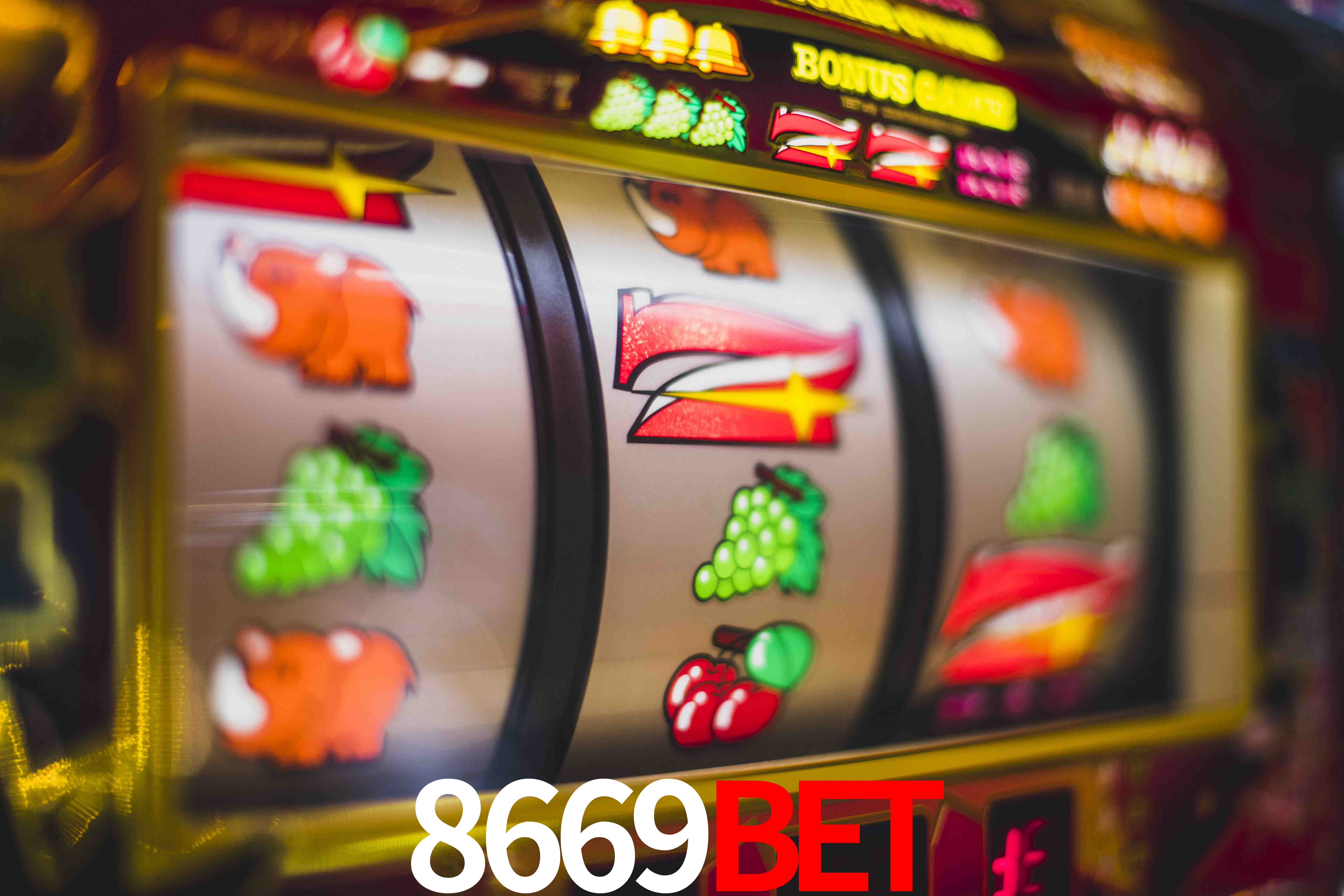 Experiência VIP 8669bet